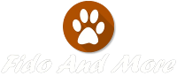Logo Fido And More