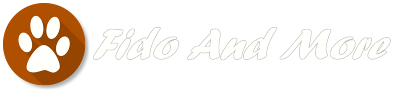 Logo Fido and more